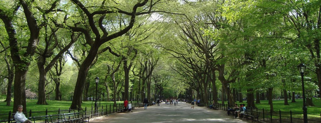 central park promenade in spring